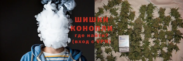 дурь Гусиноозёрск