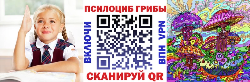 Купить закладки  Туринск  Псилоцибиновые грибы Psilocybine cubensis 