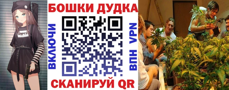 Шишки марихуана план  Купить  Туринск 
